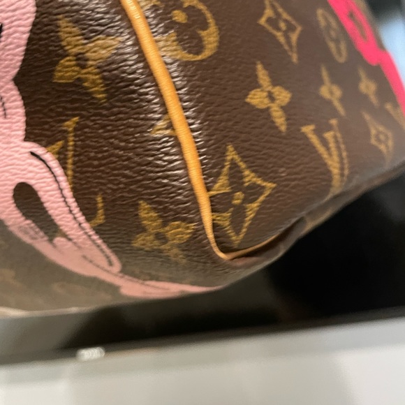 Louis Vuitton Speedy Limited Edition - Picture 9 of 14